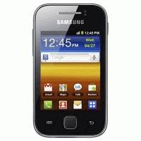 смартфон Samsung Galaxy Y GT-S5360MAASER