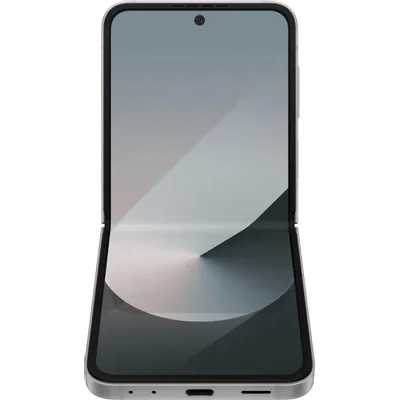 Samsung Galaxy Z Flip 6 12/256GB Grey SM-F741BZSGCAU