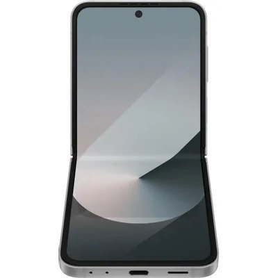 Samsung Galaxy Z Flip 6 12/256GB Grey SM-F741BZSGSKZ