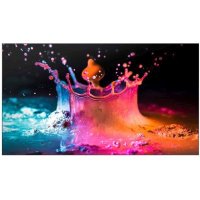 ЖК панель Samsung UD55E-P