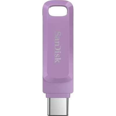 SanDisk 128GB SDDDC3-128G-G46L