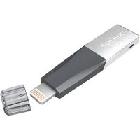 SanDisk 128GB SDIX40N-128G-GN6NE
