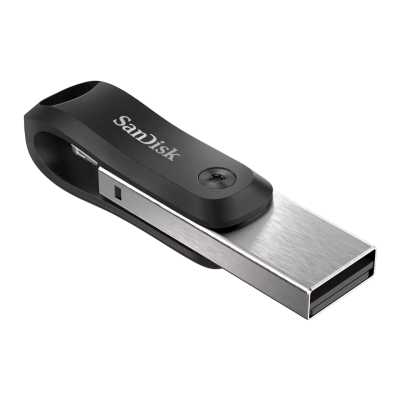 SanDisk 128GB SDIX60N-128G-GN6NE
