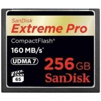 карта памяти SanDisk 256GB SDCFXPS-256G-X46