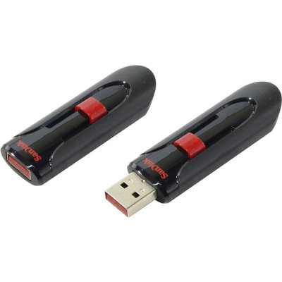 

SanDisk 256GB