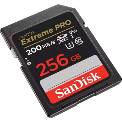 SanDisk 256GB SDSDXXD-256G-GN4IN