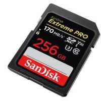 SanDisk 256GB SDSDXXY-256G-GN4IN