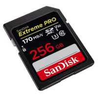карта памяти SanDisk 256GB SDSDXXY-256G-GN4IN