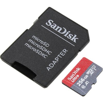 

SanDisk 256GB
