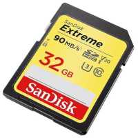 SanDisk 32GB SDSDXVE-032G-GNCI2