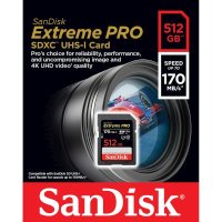 SanDisk 512GB SDSDXXY-512G-GN4IN