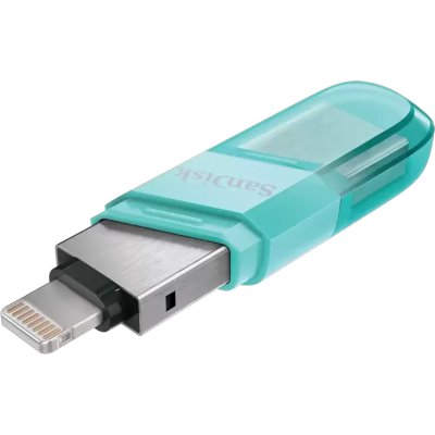 SanDisk 64GB SDIX90N-064G-GN6NK