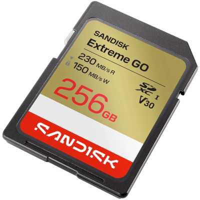 SanDisk Extreme Go 256GB SDSDXGN-256G-GNCIN