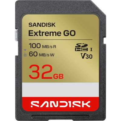 карта памяти SanDisk Extreme Go 32GB SDSDXGN-032G-GNCIN