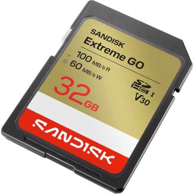 SanDisk Extreme Go 32GB SDSDXGN-032G-GNCIN