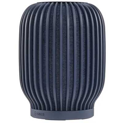 Sber Boom SBDV-00090B