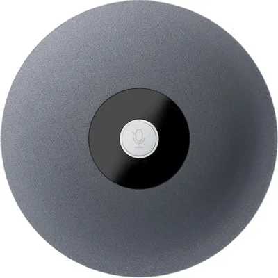 Sber SDMIC-001