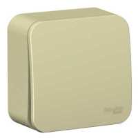 Schneider Electric Blanca BLNVA101017