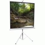 экран для проектора ScreenMedia Apollo T 150х150 MW