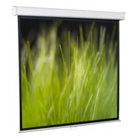 экран для проектора ScreenMedia Goldview SGM-16906