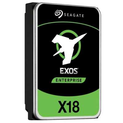 Seagate Exos X18 10Tb ST10000NM013G