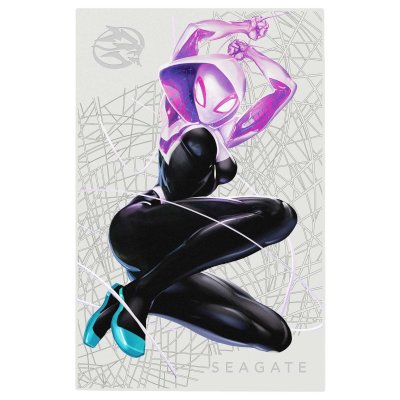 Seagate FireCuda Ghost Spider 2Tb STKL2000418