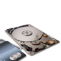 Seagate ST500LT032