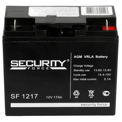 Security Force