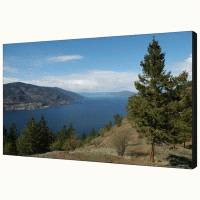 ЖК панель Sharp PN-V600