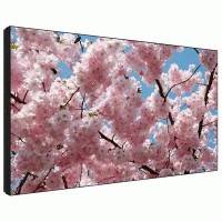 ЖК панель Sharp PN-V601