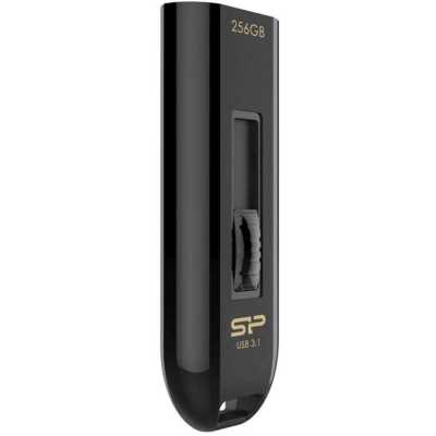 Silicon Power 256GB SP256GBUF3B21V1K