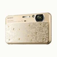 фотоаппарат Sony Cyber-shot DSC-T99/DN