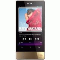 Sony NWZ-F804N