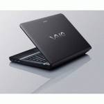 Sony Vaio VPC-EA3M1RBJ
