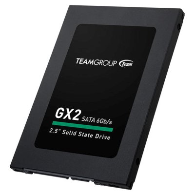 

Team Group GX2 256Gb T253X2256G0C101