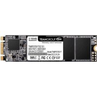 SSD диск Team Group MS30 256Gb TM8PS7256G0C101