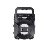 колонка Telefunken TF-PS1227B Black
