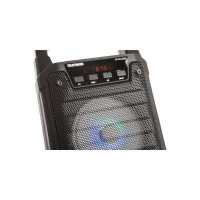 колонка Telefunken TF-PS1229B Black