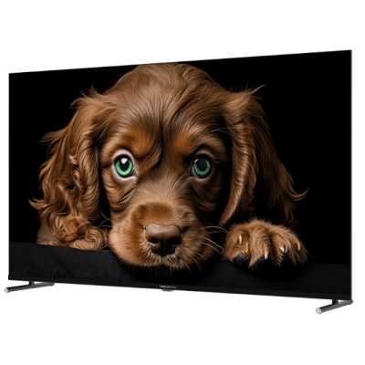 телевизор Topdevice TDTV55CQ08U_BK