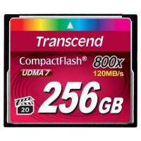 карта памяти Transcend 256GB TS256GCF800