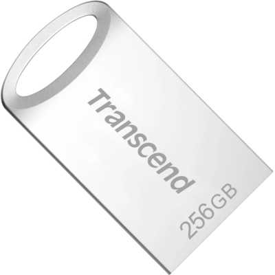 Transcend 256GB TS256GJF710S