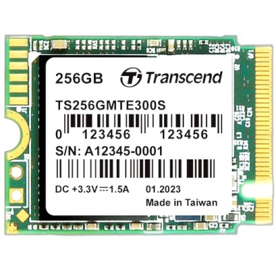 Transcend MTE300S 256Gb