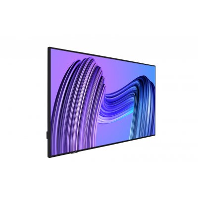 профессиональный дисплей Vestel PF55D-2H