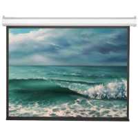 экран для проектора Viewscreen Antis EAN-4305