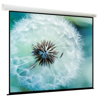 экран для проектора Viewscreen Breston EBR-11061-001