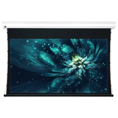 экран для проектора Viewscreen Premium LF-MC100-16:9-WW5-AACW