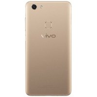 Vivo V7 Gold