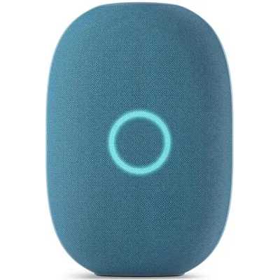 умная колонка VK Капсула MRC01LB