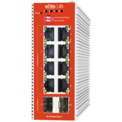 Wi-Tek WI-PCMS310GF-I v2