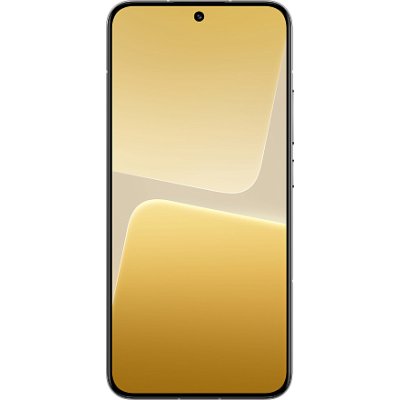 Xiaomi 13 12/256GB White